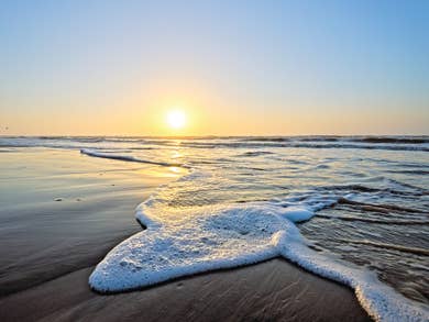 Incoming wave at Galveston Beach