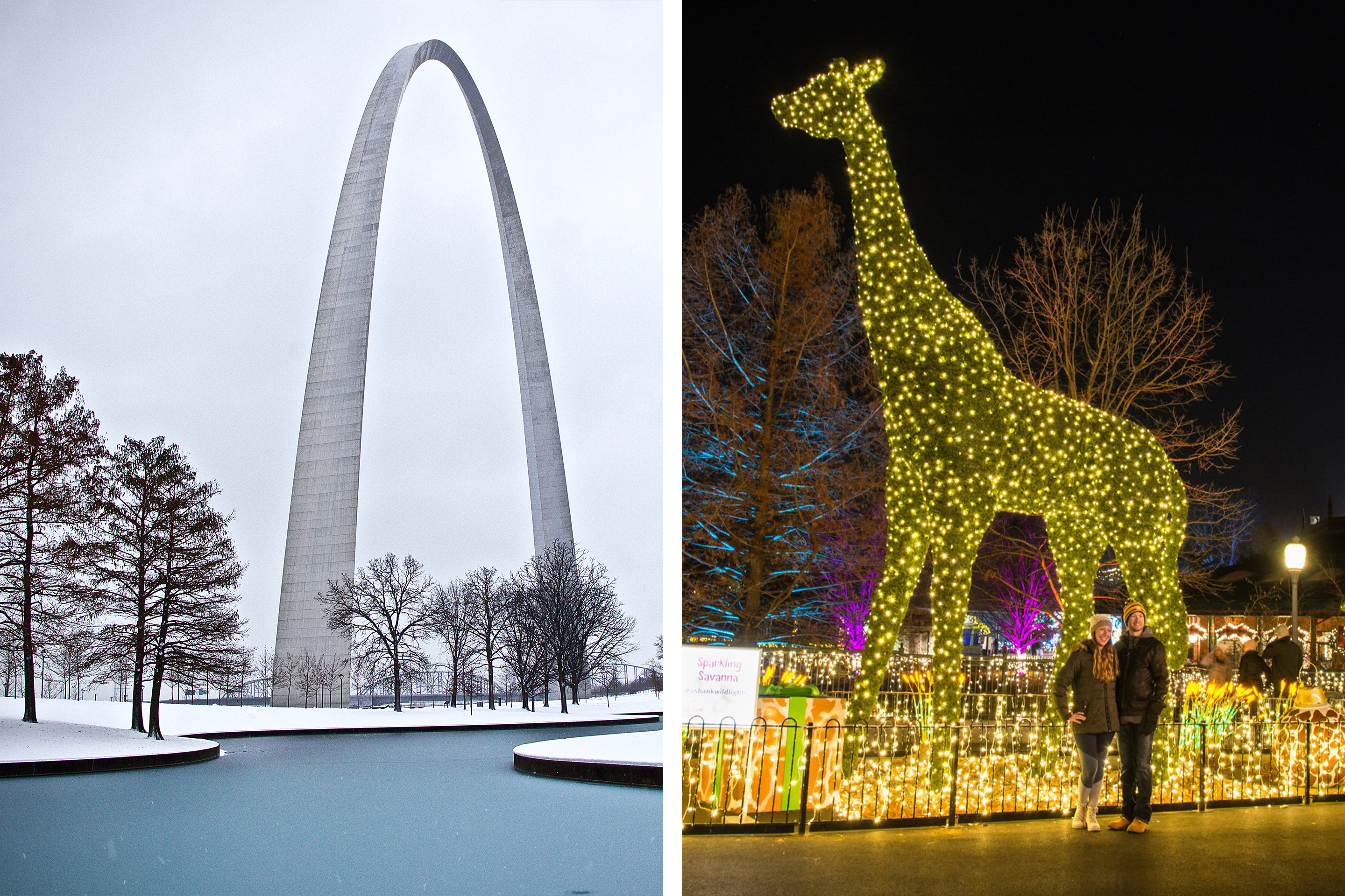 Left: 'St. Louis Arch' in St. Louis, MO while its snows. Right: A giraffe topiary clad with white string lights as two guests pose in front at the Saint Louis Zoo at night.
