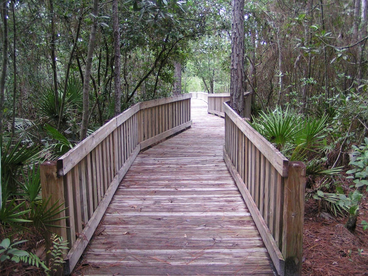 Wooden walking path through a nature preserve