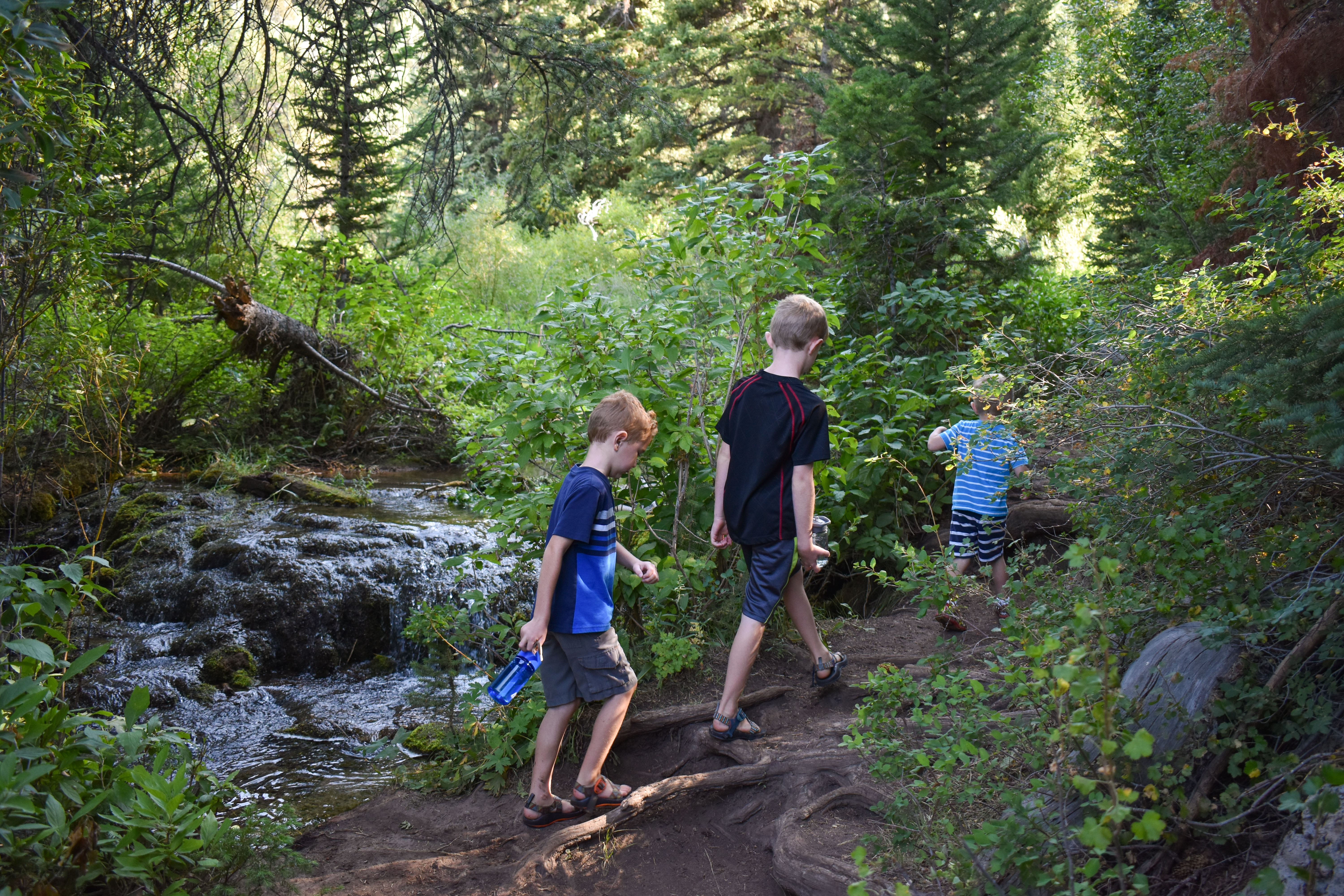 Jessica's three sons hiking in a line past a creek