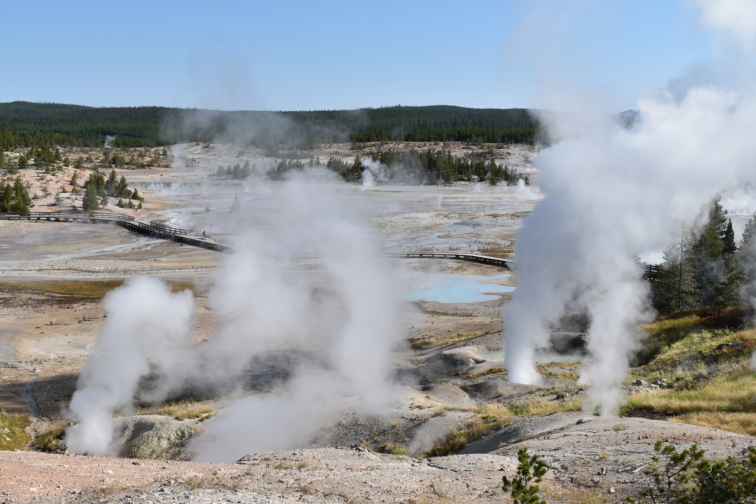 Norris Geyser Basin, Yellowstone National Park.
