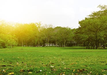 Scenery of Pitts Park near Apple Mountain Resort in Clarkesville, GA.