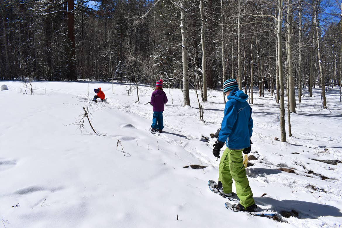 Three children wearing winter apparel and snowshoes walk on a snowy trail near trees.