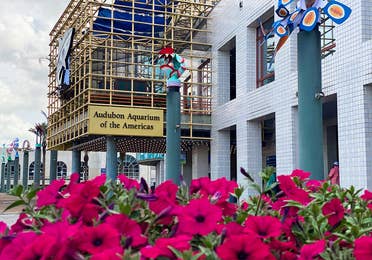 Audubon Aquarium near New Orleans Resort in Louisiana.