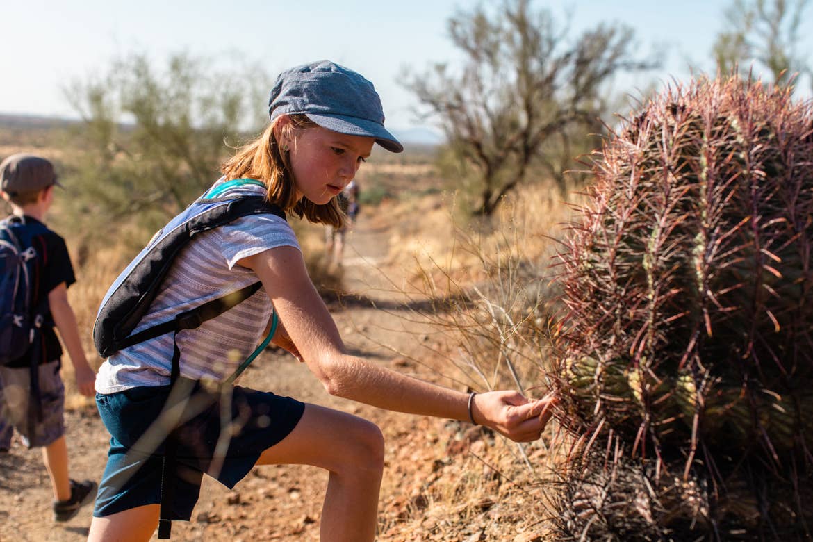 Jessica Averett's daughter cautiously observes one of the various cacti breeds.