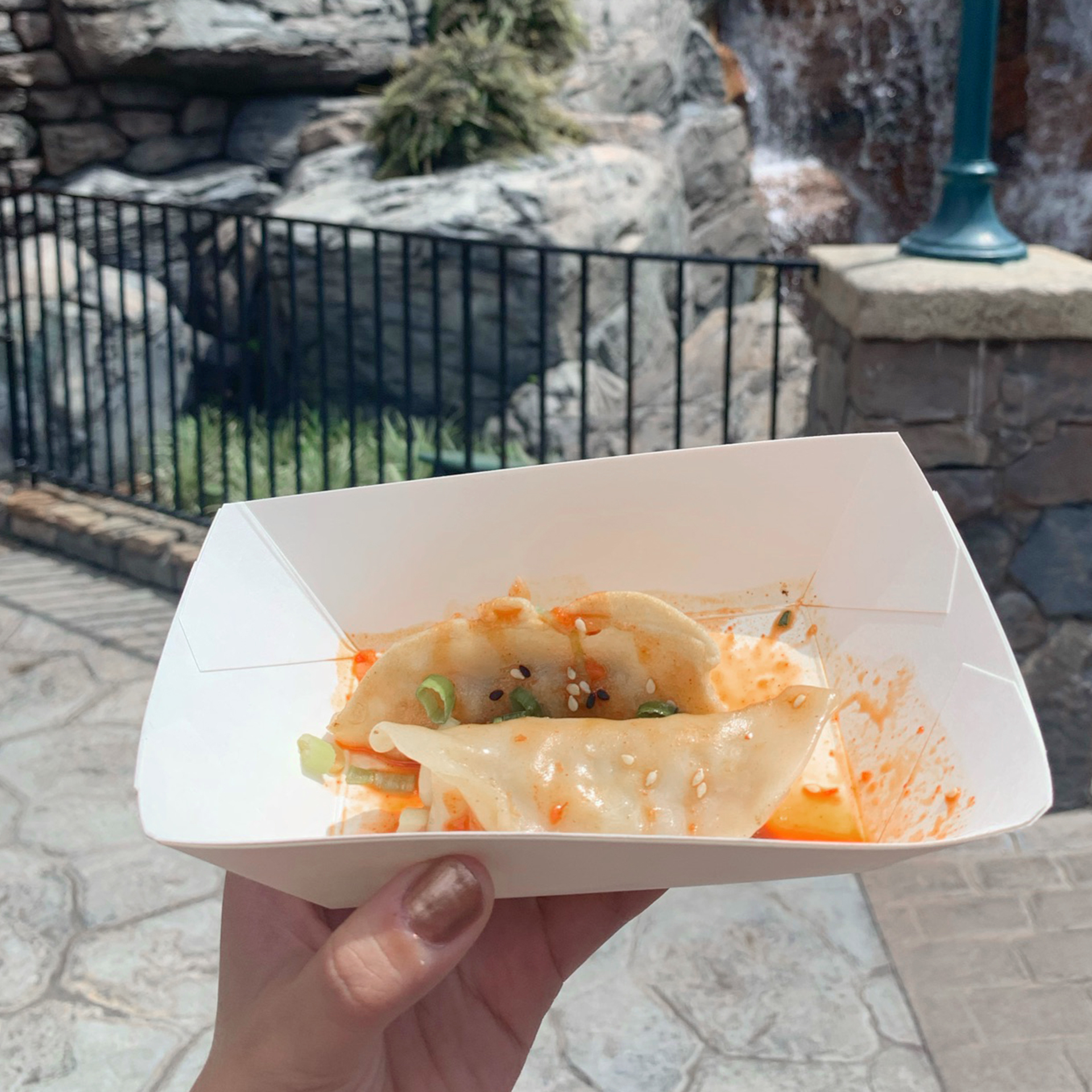 A hand holds a white, square paper plate containing a Pan-fried Chicken Dumplings with House-made Sweet and Spicy Sauce near the Norway Pavilion waterfall at Epcot.