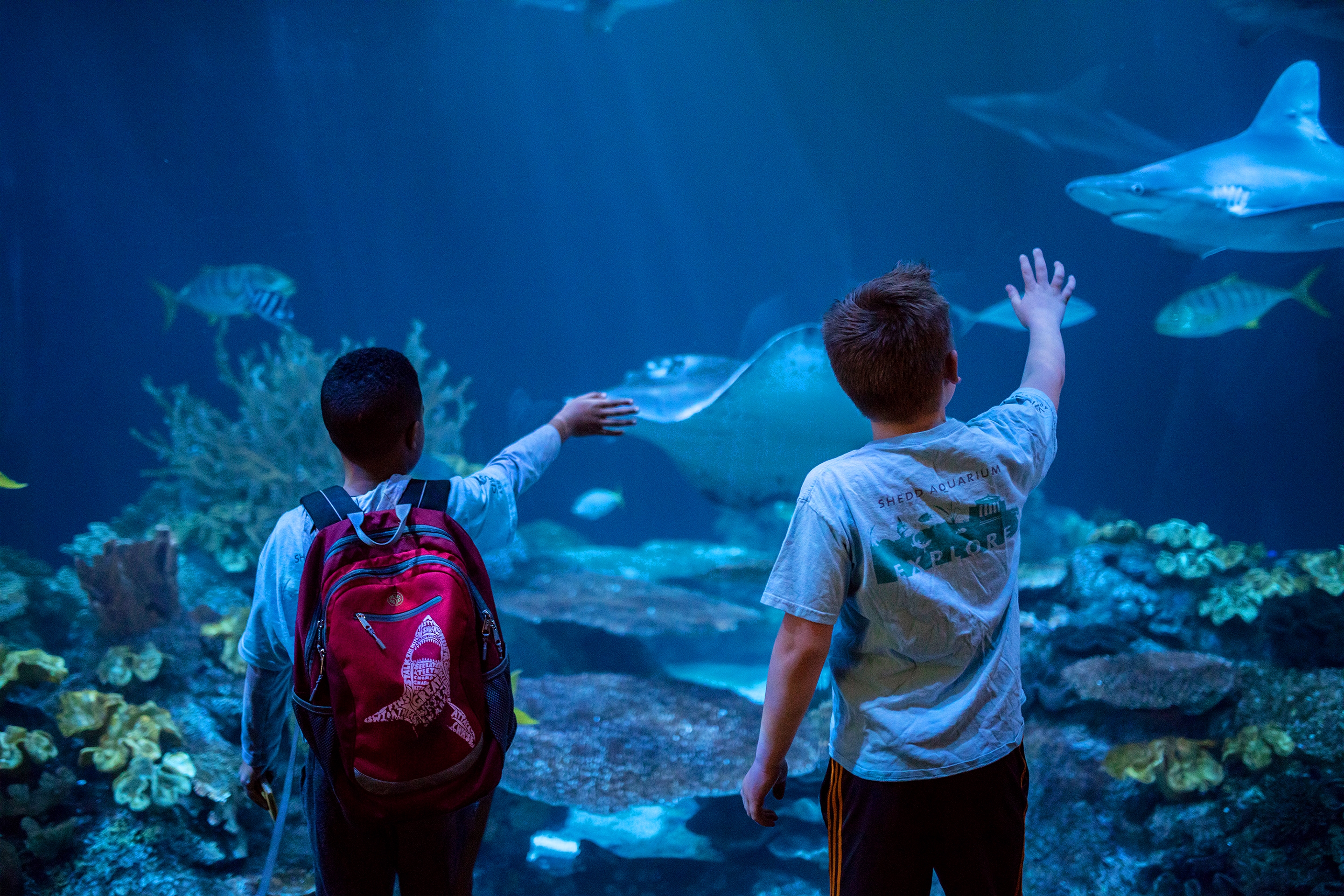 Two young boys touch the glass at an aquarium.