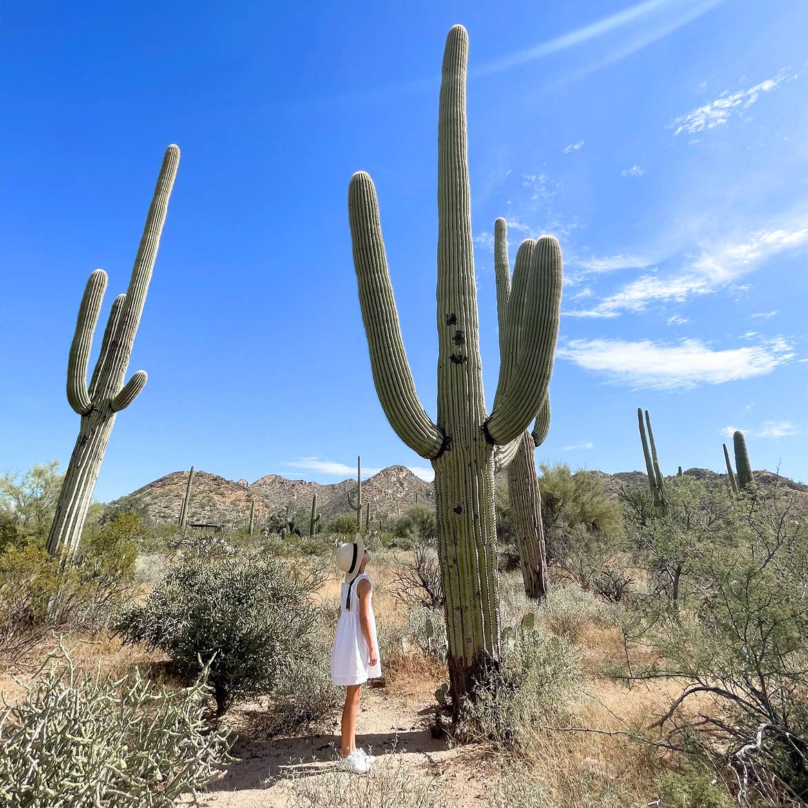 A young girl in a white dress, straw hat and sunglasses looks up at a tall cactus under a cloudy blue sky.