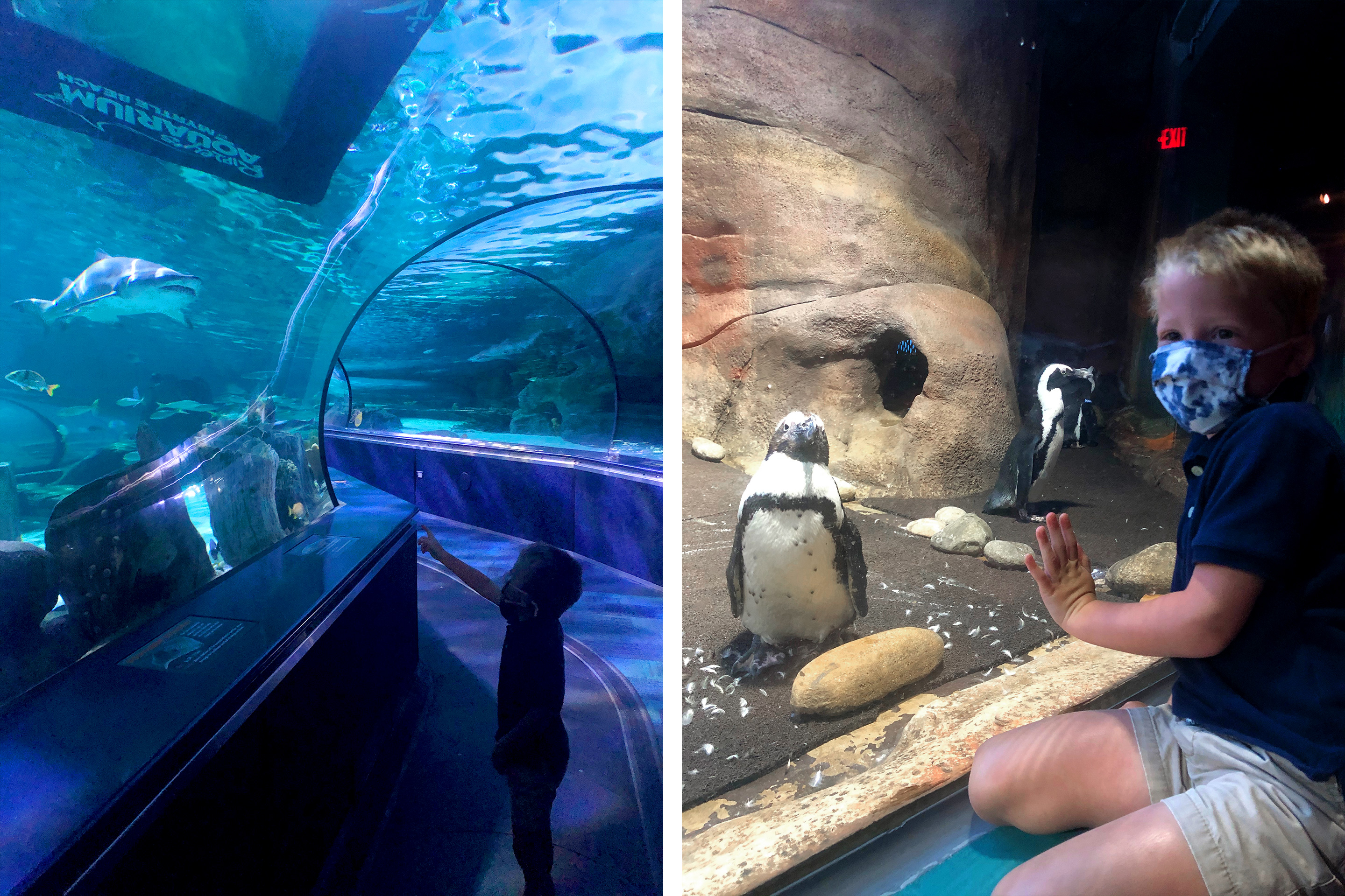 Left: Brianna's two children wear safety masks while walking through the aquatic tunnels at Ripley’s Aquarium of Myrtle Beach. Right: Brianna's son wears a mask as he observes the penguin enclosure.