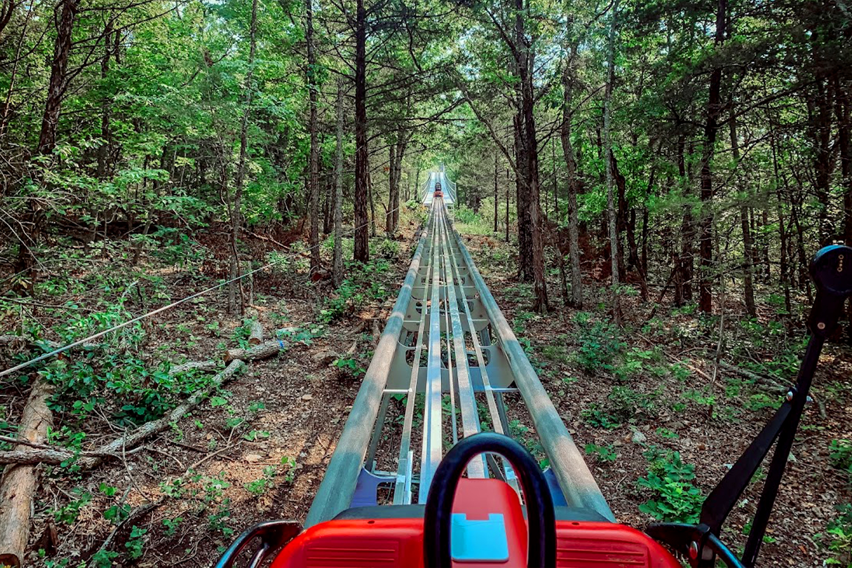 A mountain coaster vehicle sits on a track under tall oak trees.
