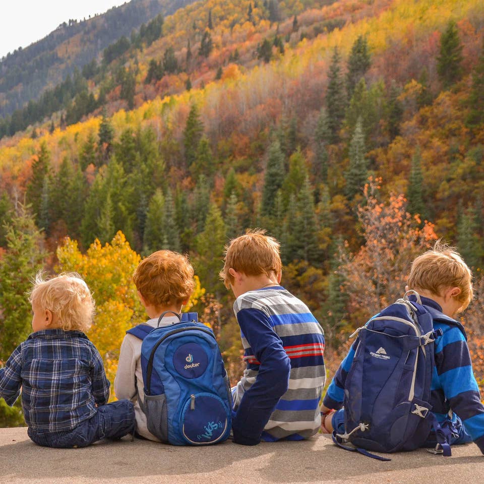Kids sitting in front of fall foliage in Gatlinburg, TN