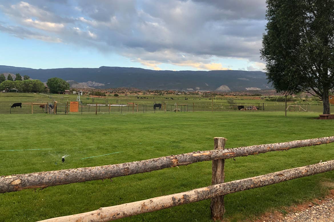 A view of the cow pasture at Wonderland RV Resort.