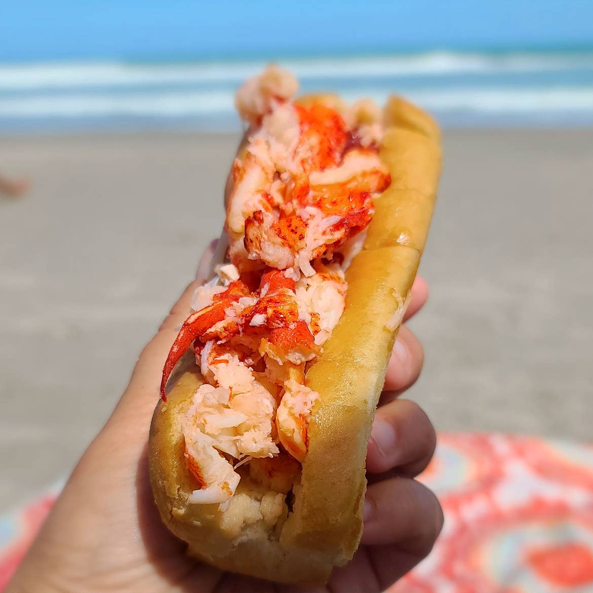 A hand holds a lobster roll near a coastline.