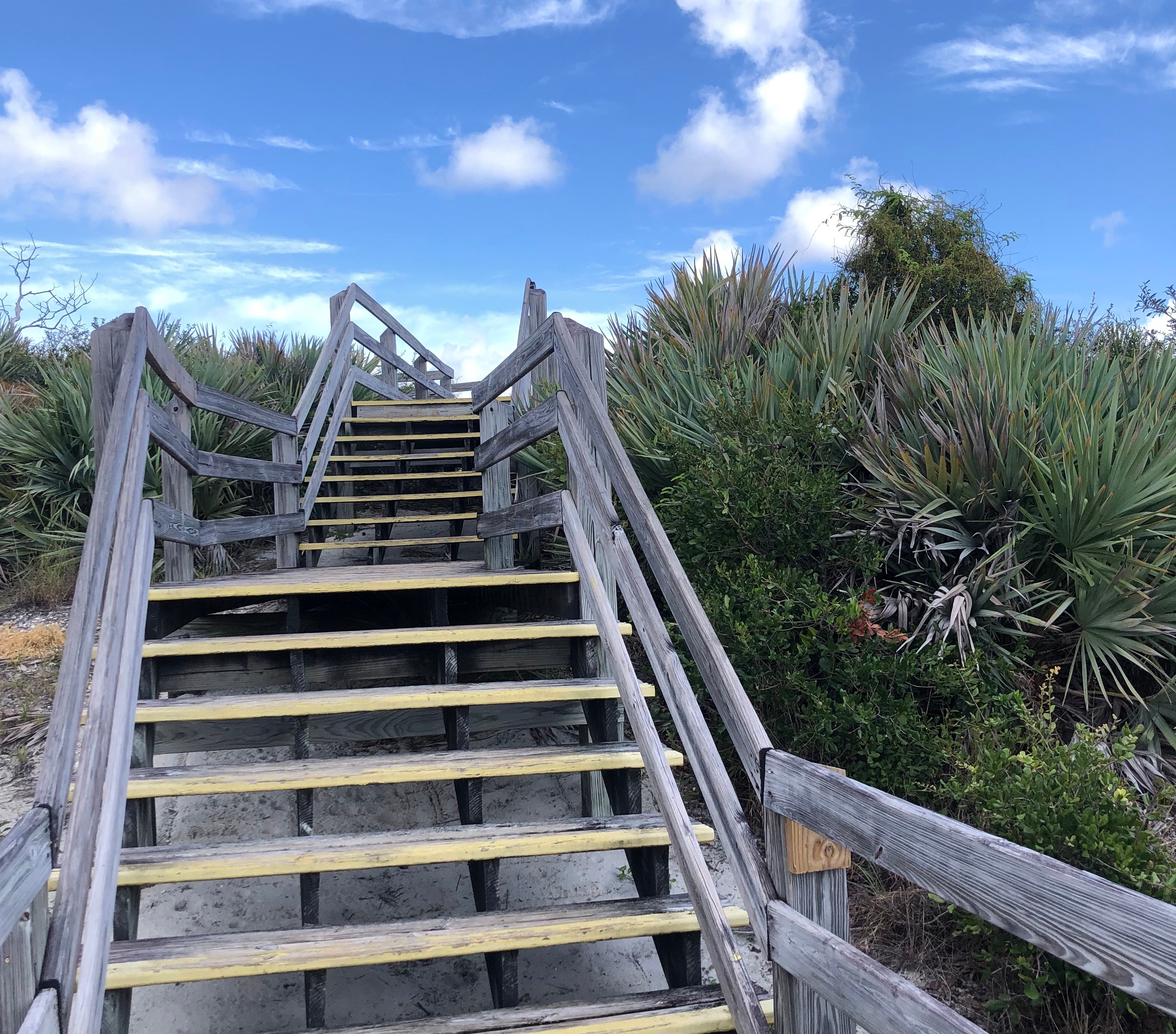 Wooden pathway at Jonathan Dickinson State Park in Hobe Sound, Florida.