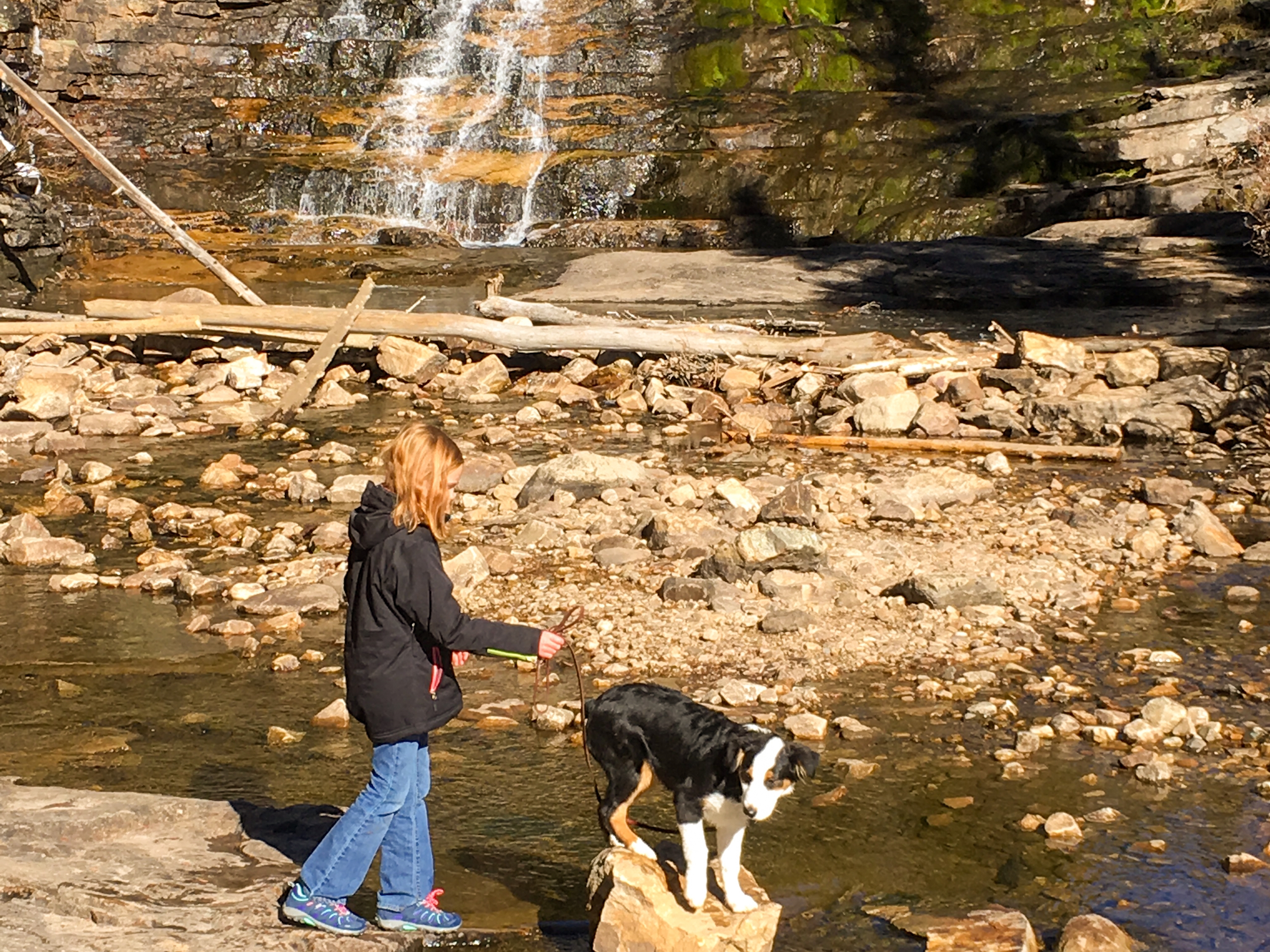 Jessica's daughter walking the dog through a creek