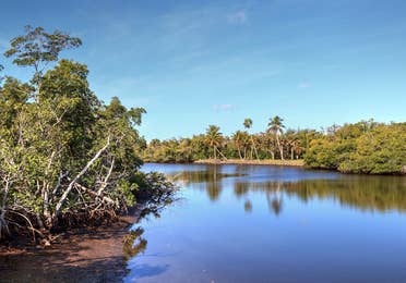 Rookery Bay in Florida