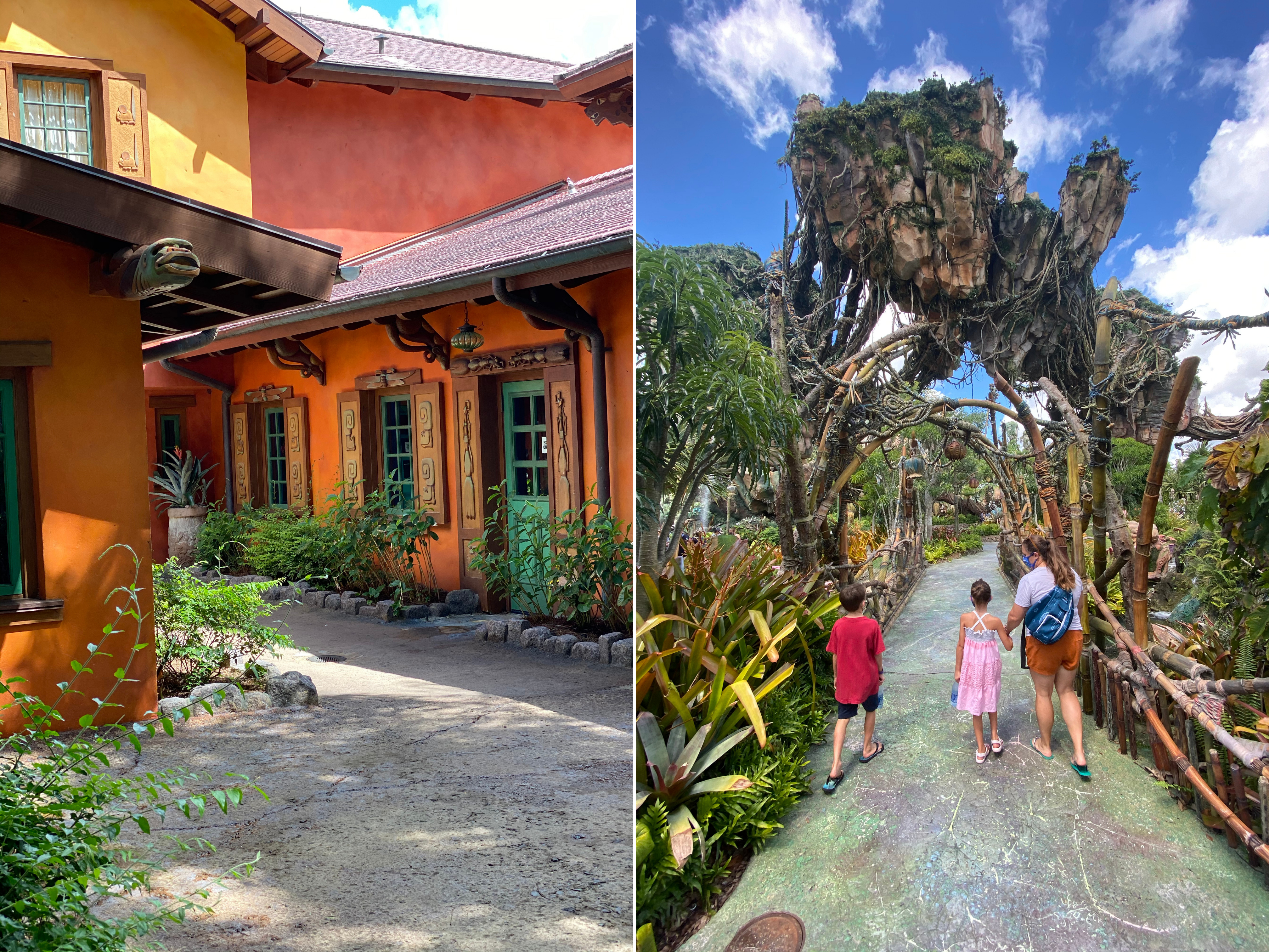 Scenery from Animal Kingdom