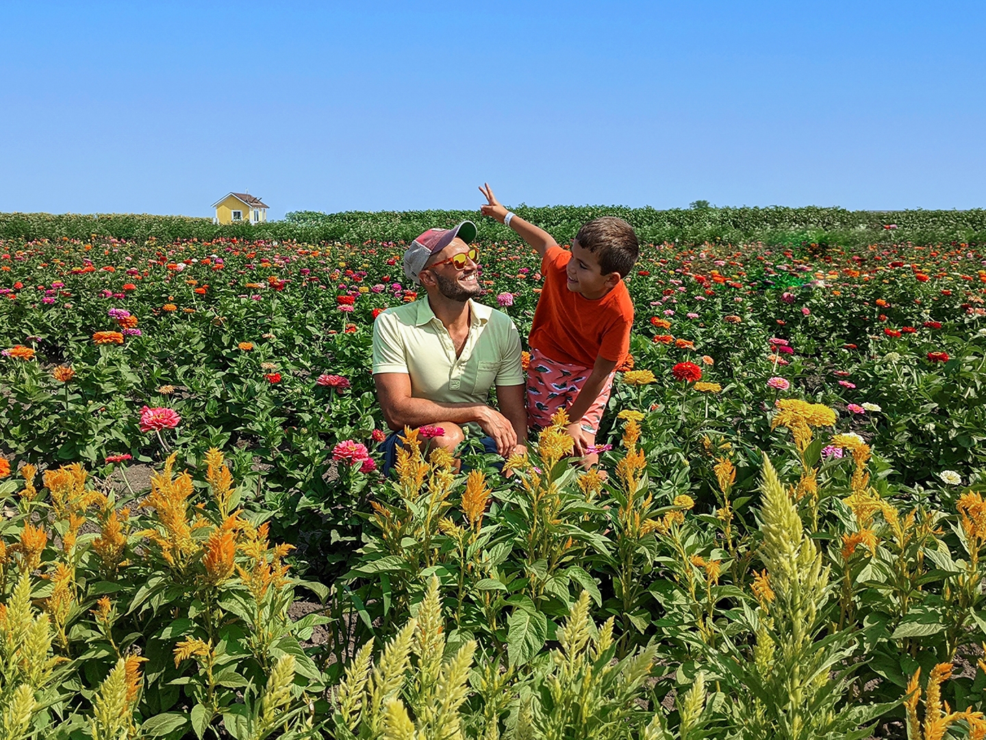 A young boy and man sit in the middle of a wildflower field.