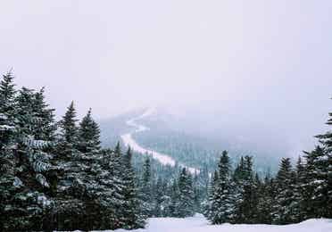 Snowy hill for skiing near Brownsville, Vermont.