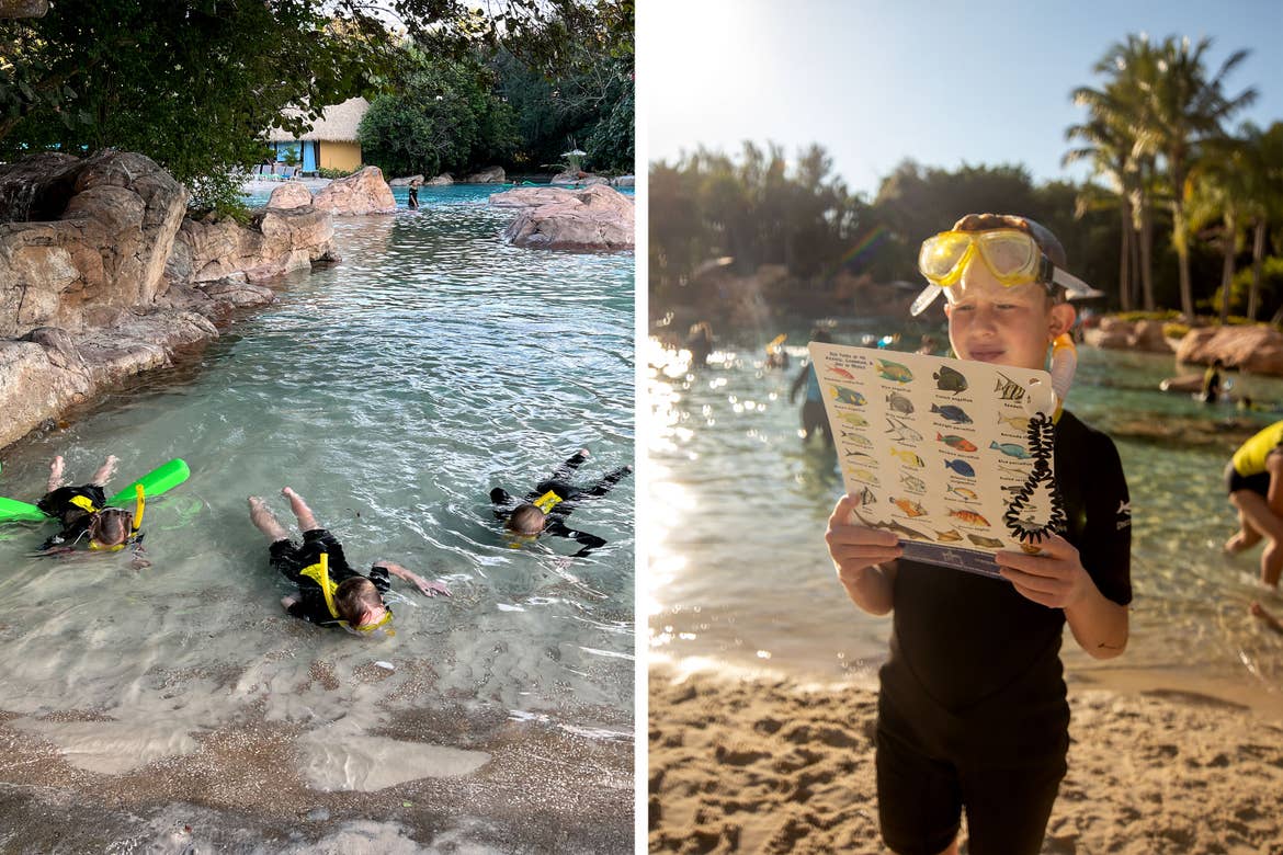 Left: Three children wearing black and yellow wetsuits with yellow snorkel gear wade in shallow waters outdoors. Right: A boy wearing black and yellow wetsuits with yellow snorkel gear reads an informational sheet containing various exotic fish.