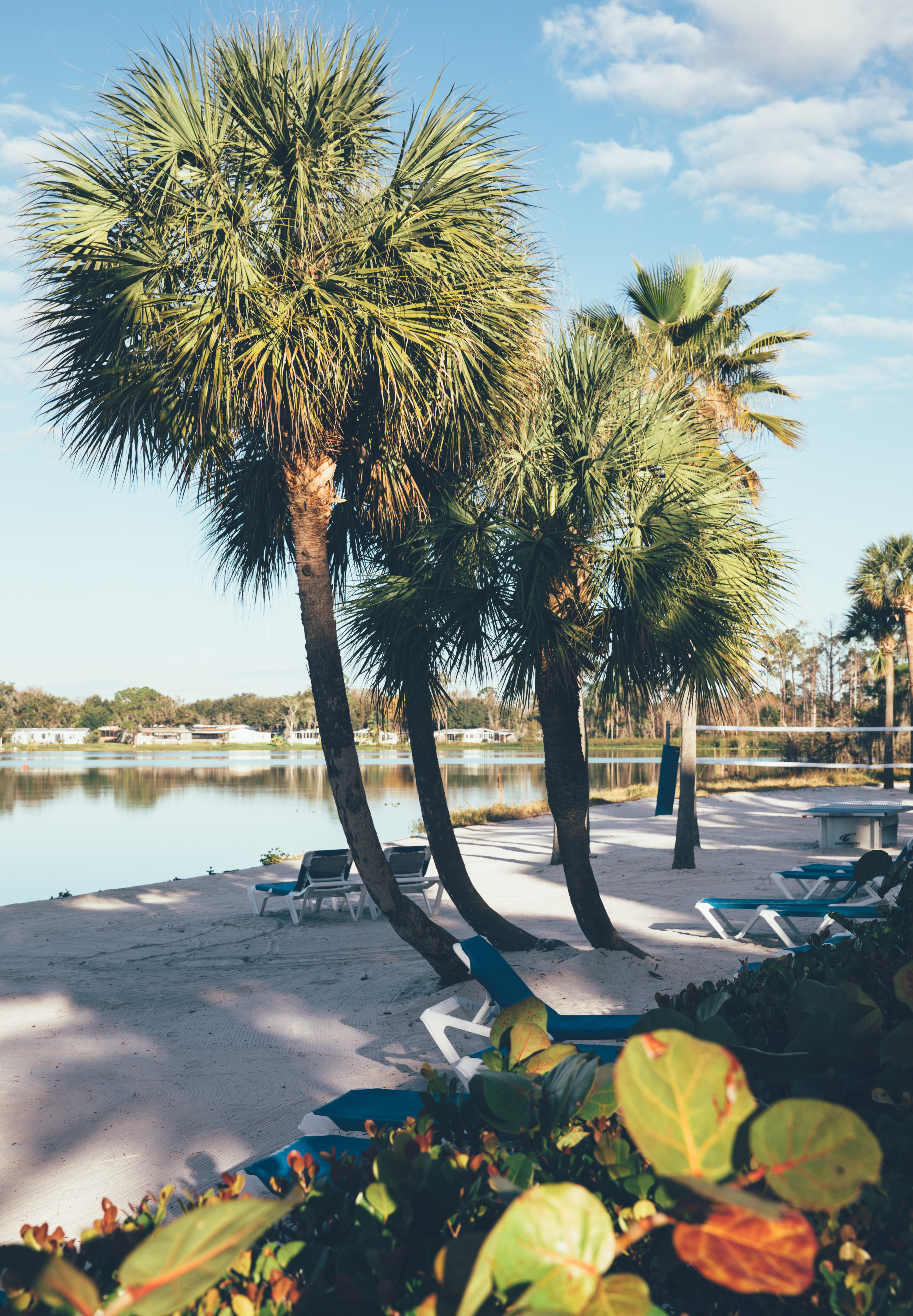 Beach chairs on sand in front of lake surrounded by palm trees in West Village at Orange Lake Resort near Orlando, Florida.
