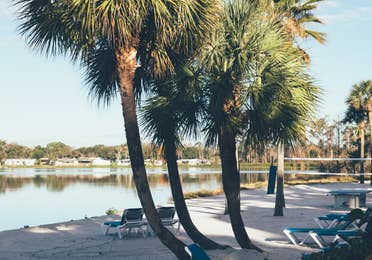 Beach chairs on sand in front of lake surrounded by palm trees in West Village at Orange Lake Resort near Orlando, Florida.
