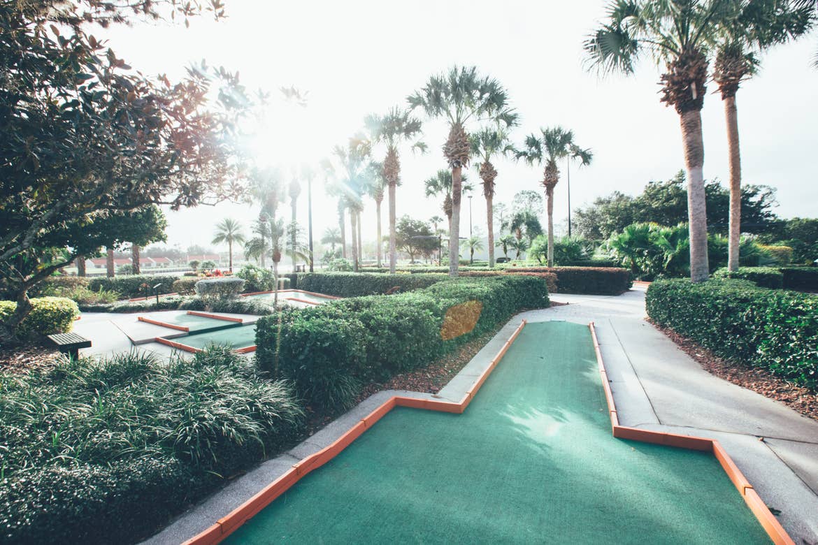Outdoor mini golf course under palm trees.