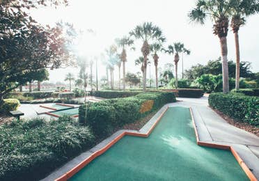 Outdoor mini golf course surrounded by palm trees in the West Village at Orange Lake Resort near Orlando, Florida.