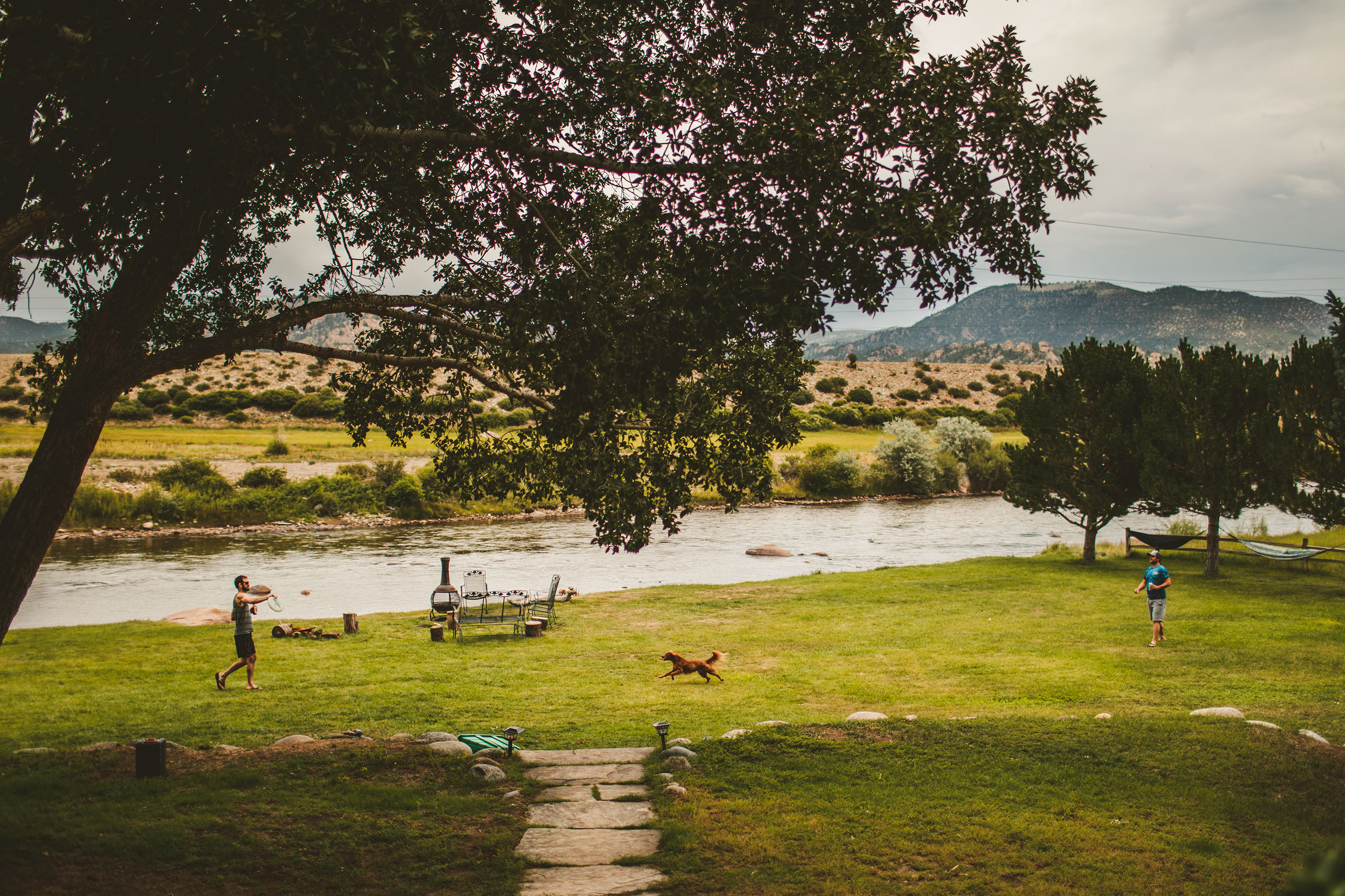 Two men throw a frisbee at each other while a dog runs in-between the two of them on a grassy area near a creek.