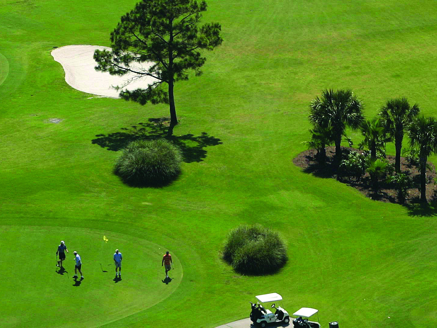 Golf course in Panama City Beach