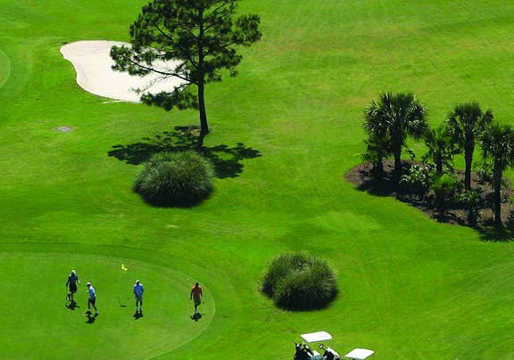 Golf course in Panama City Beach