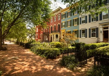 Tree-lined residential street with colorful row houses in Washington, D.C.’s U Street Corridor and Shaw neighborhood.