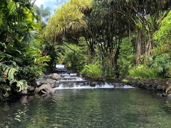 Waterfall in Cancun, Mexico.