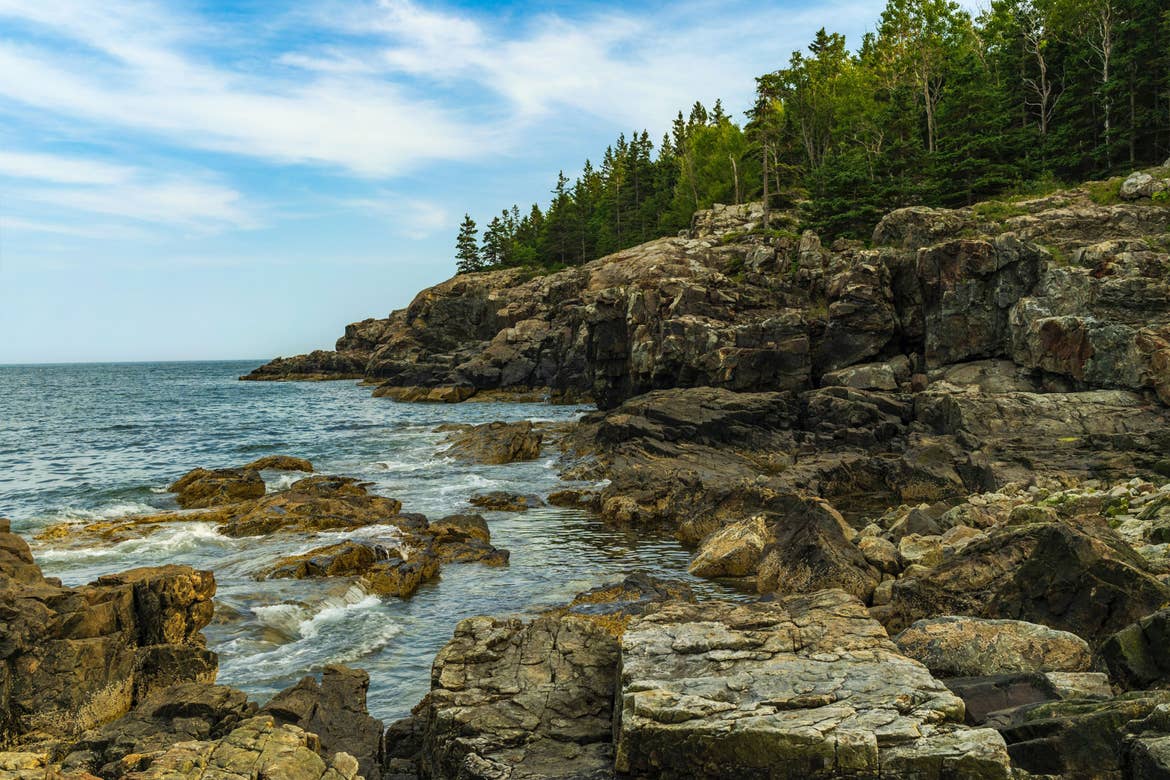 Acadia National Park with pine trees and rock formations near the coastline.