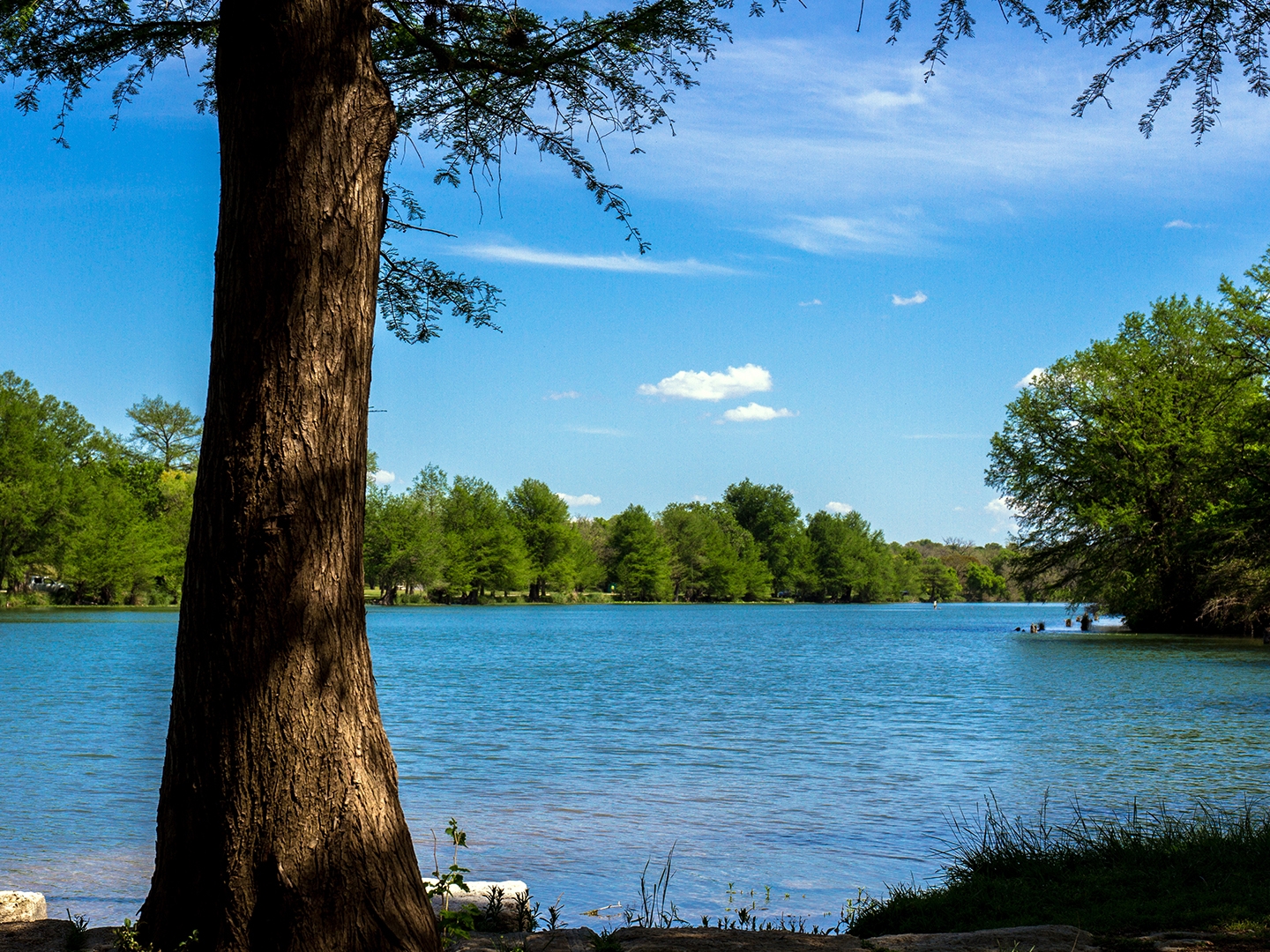 water view of Tyler State Park near Villages Resort in Flint, Texas.
