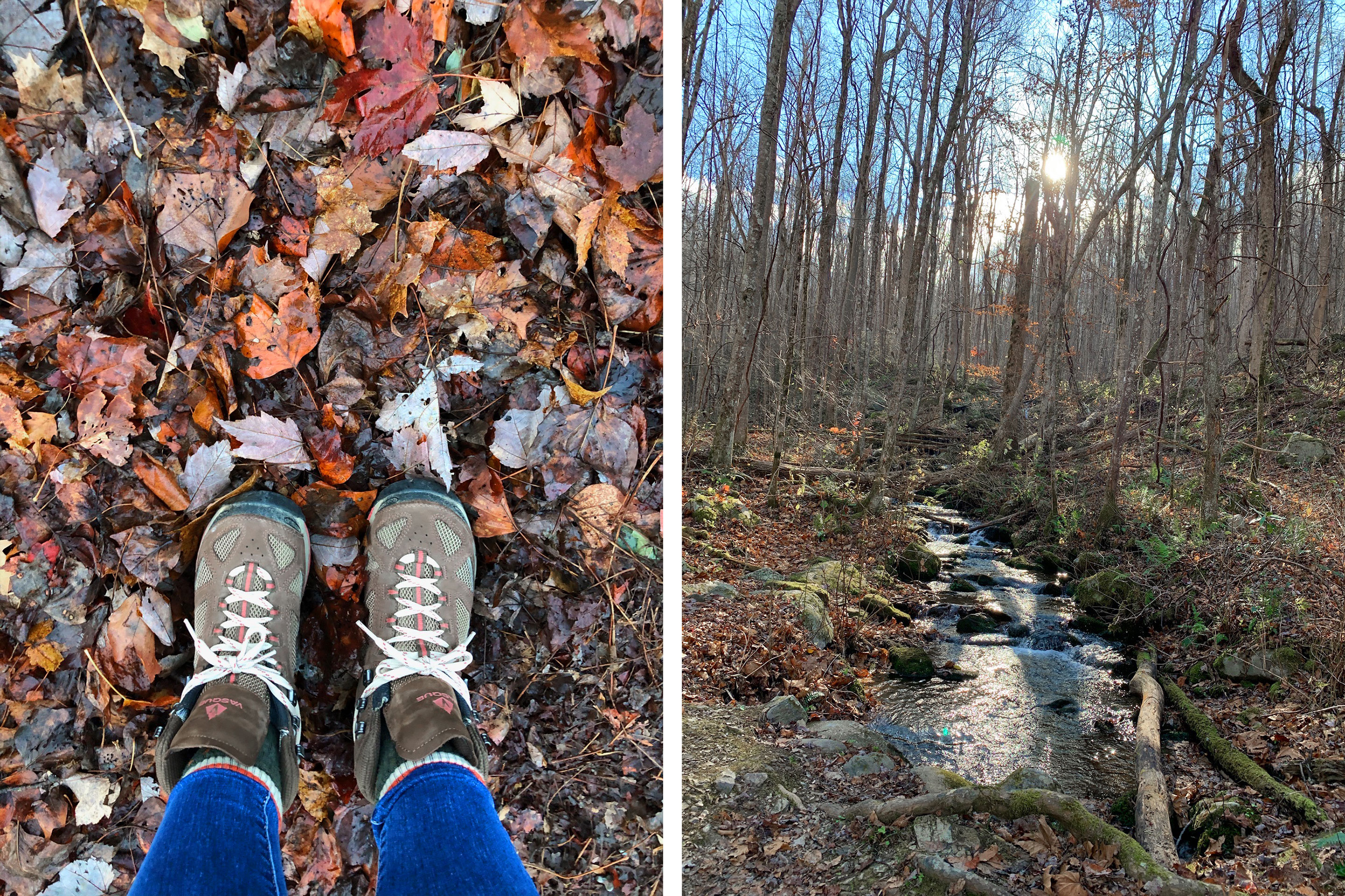 Left: Featured Contributor, Jennifer C. Harmon's hiking boots standing in a pile of colorful fallen leaves. Right: Rainbow Trail creek surrounded by trees and fallen leaves.