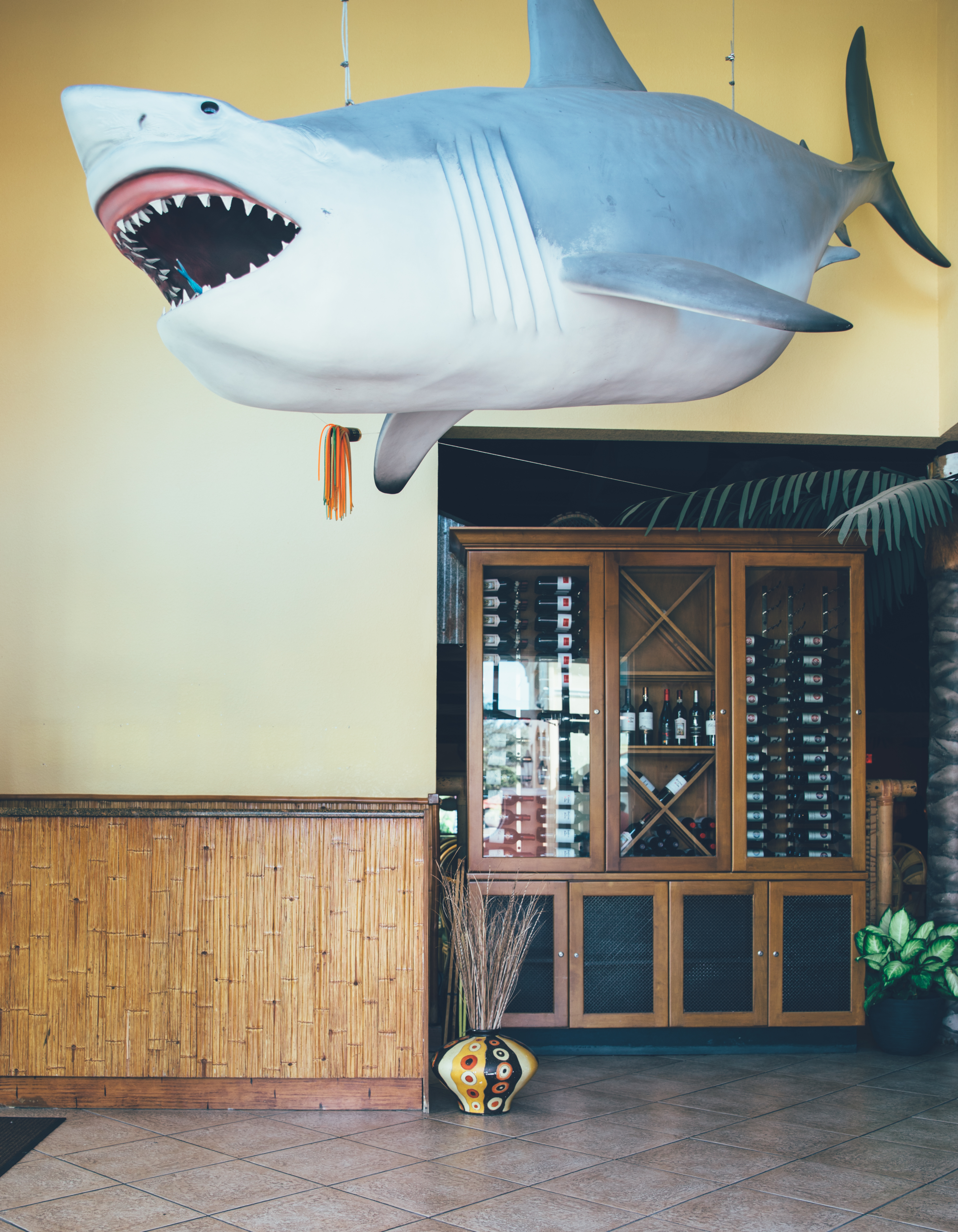 Shark decor in Tradewinds Bar & Grill in River Island at Orange Lake Resort near Orlando, Florida