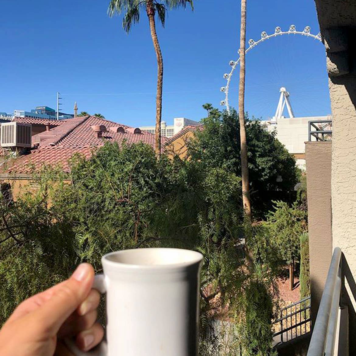 A guest holds a white coffee mug outside as a Ferris Wheel and palm trees are seen in front of a blue sky at our Desert Club Resort.