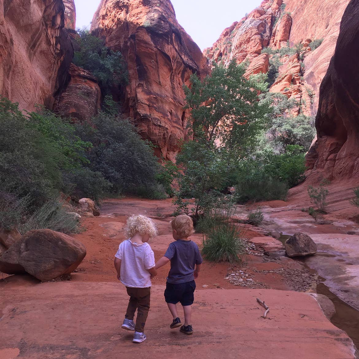 Two toddlers face giant, red rock formations with some green trees.