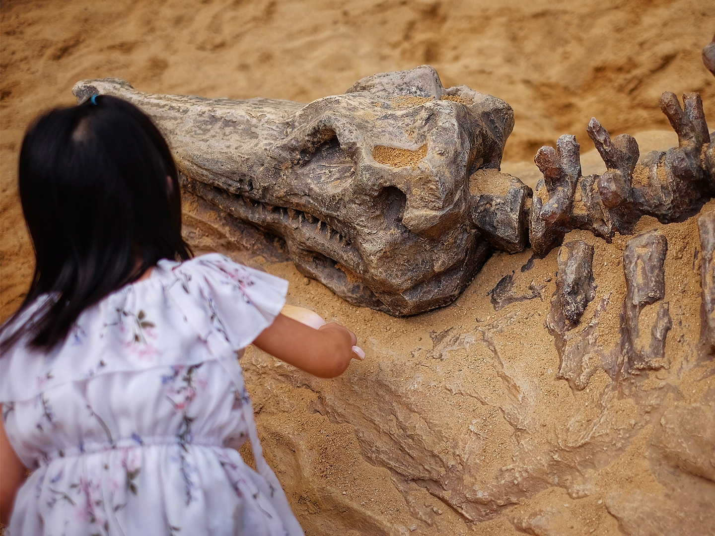 children playing with fossils at the Discovery Science Place near Villages Resort in Flint, Texas.