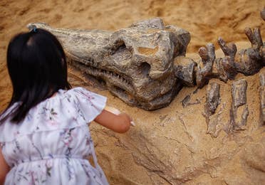 children playing with fossils at the Discovery Science Place near Villages Resort in Flint, Texas.