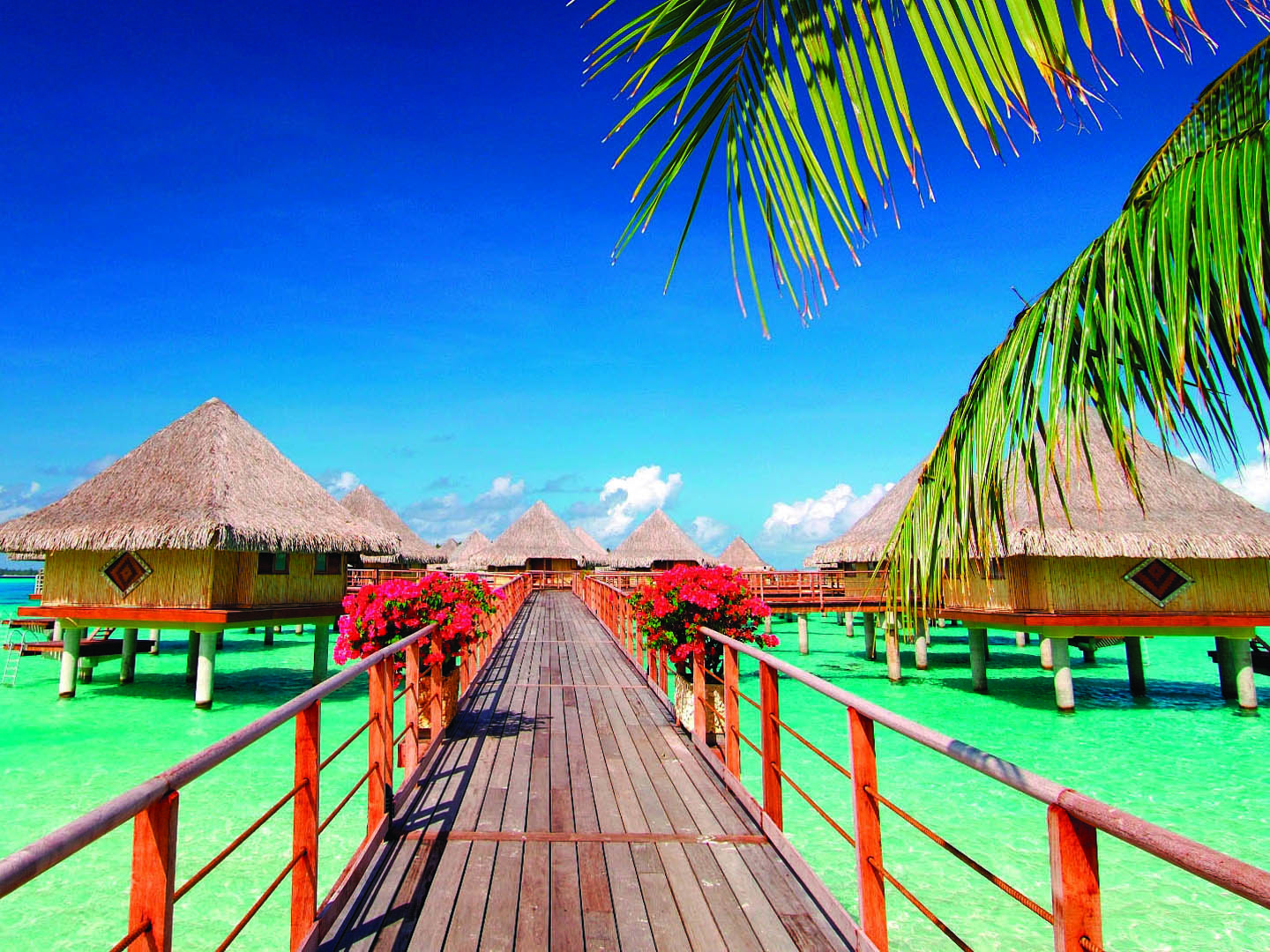 Over the water huts in Bora Bora