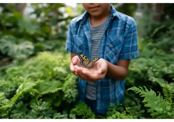 Child exploring Butterfly Wonderland rainforest exhibit in Scottsdale Arizona.