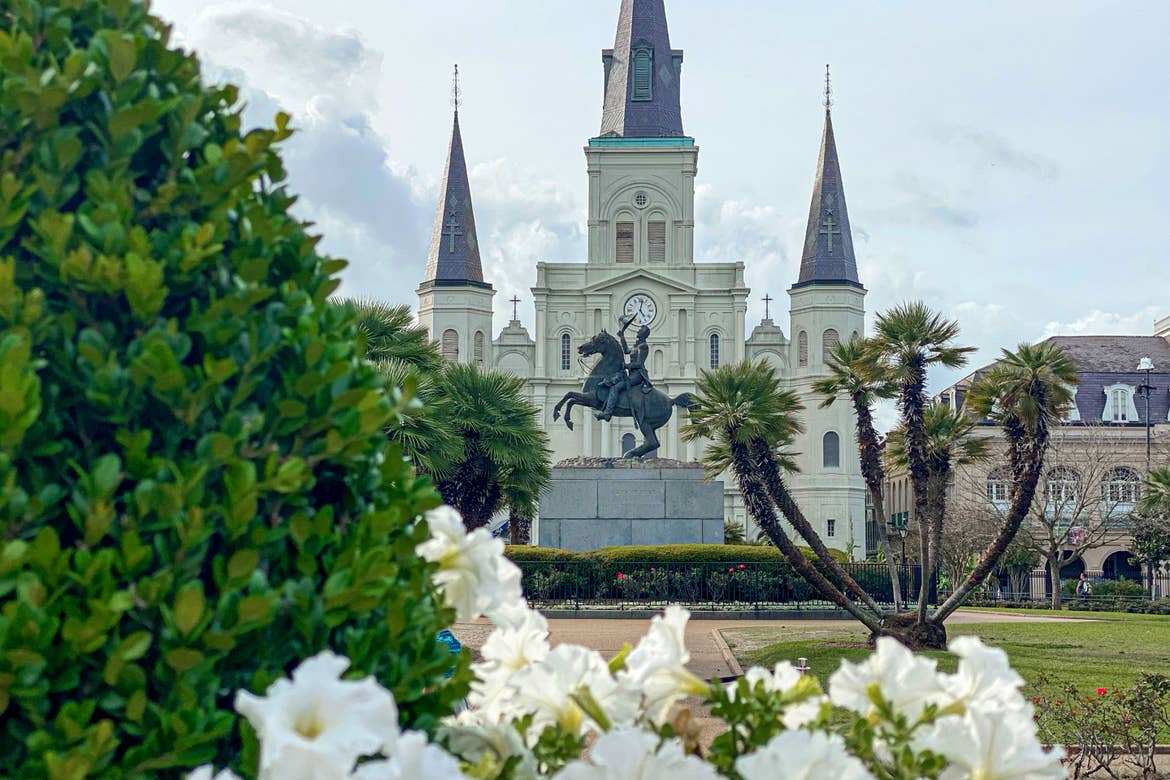 Jackson Square and the St. Louis Cathedral seen behind a floral foreground of greenery and white flowers.