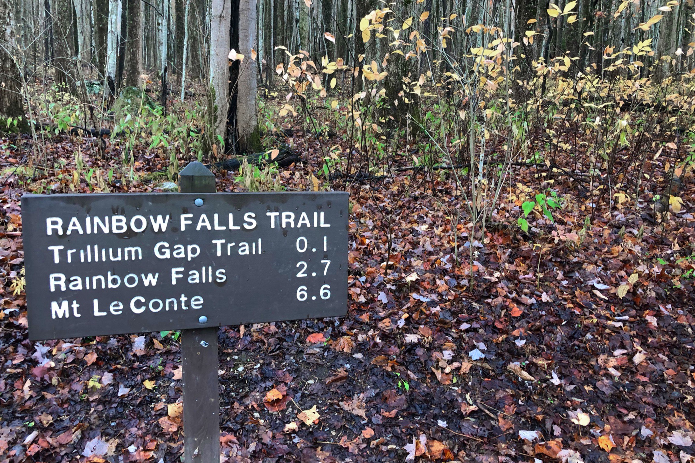 A trail sign surrounded by fallen leaves reads, 'Rainbow Falls Trail.'