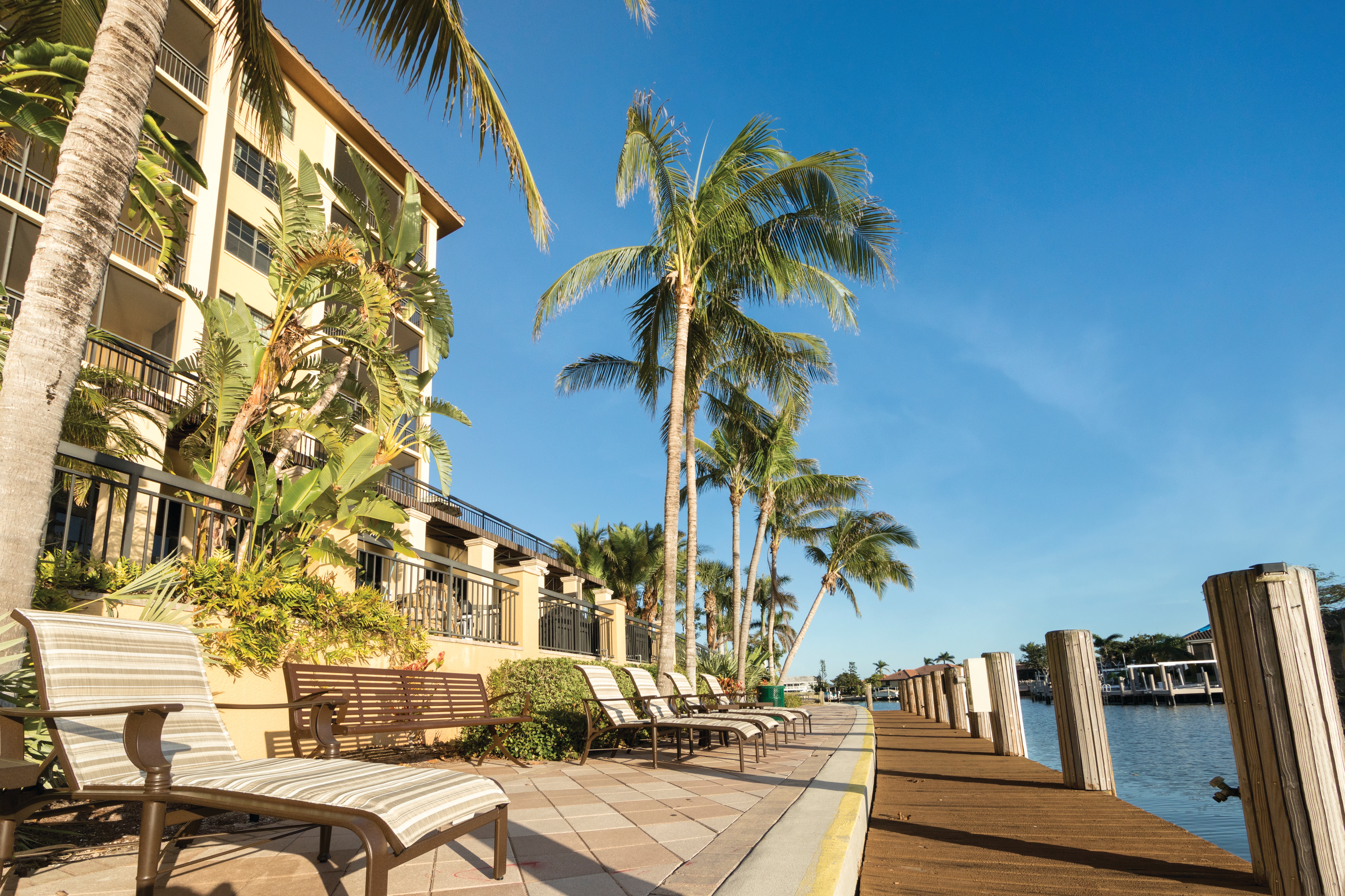 Beach chairs with a view surrounded by palm trees at our Sunset Cove Resort located in Marco Island, Florida