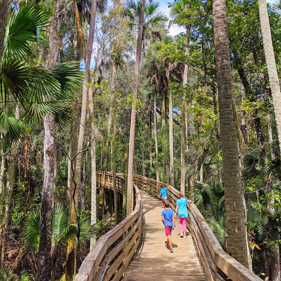 Two young boys and a young girl walk up a wooden trail bridge through some trees and over a creek.