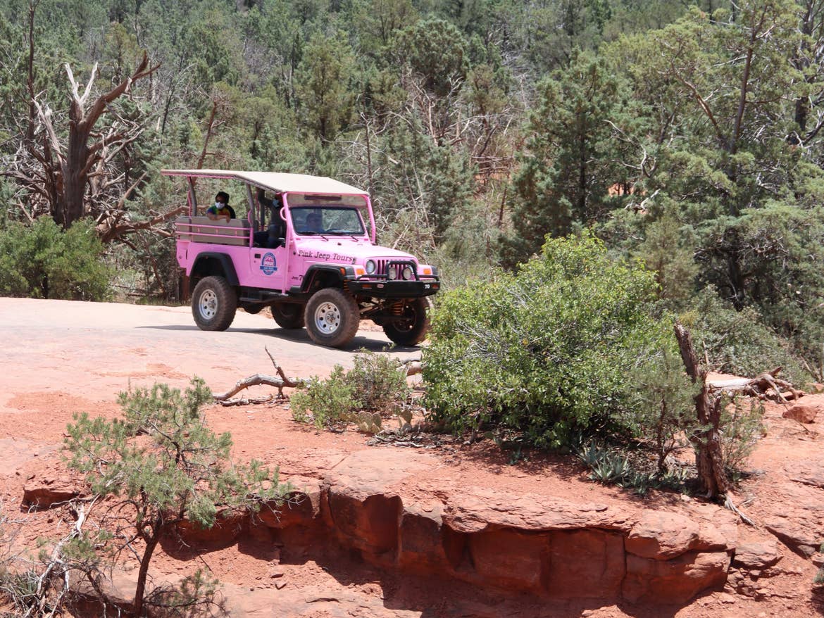 A Pink Jeep Tour parked in the desert with lush greenery and red clay surrounding it.