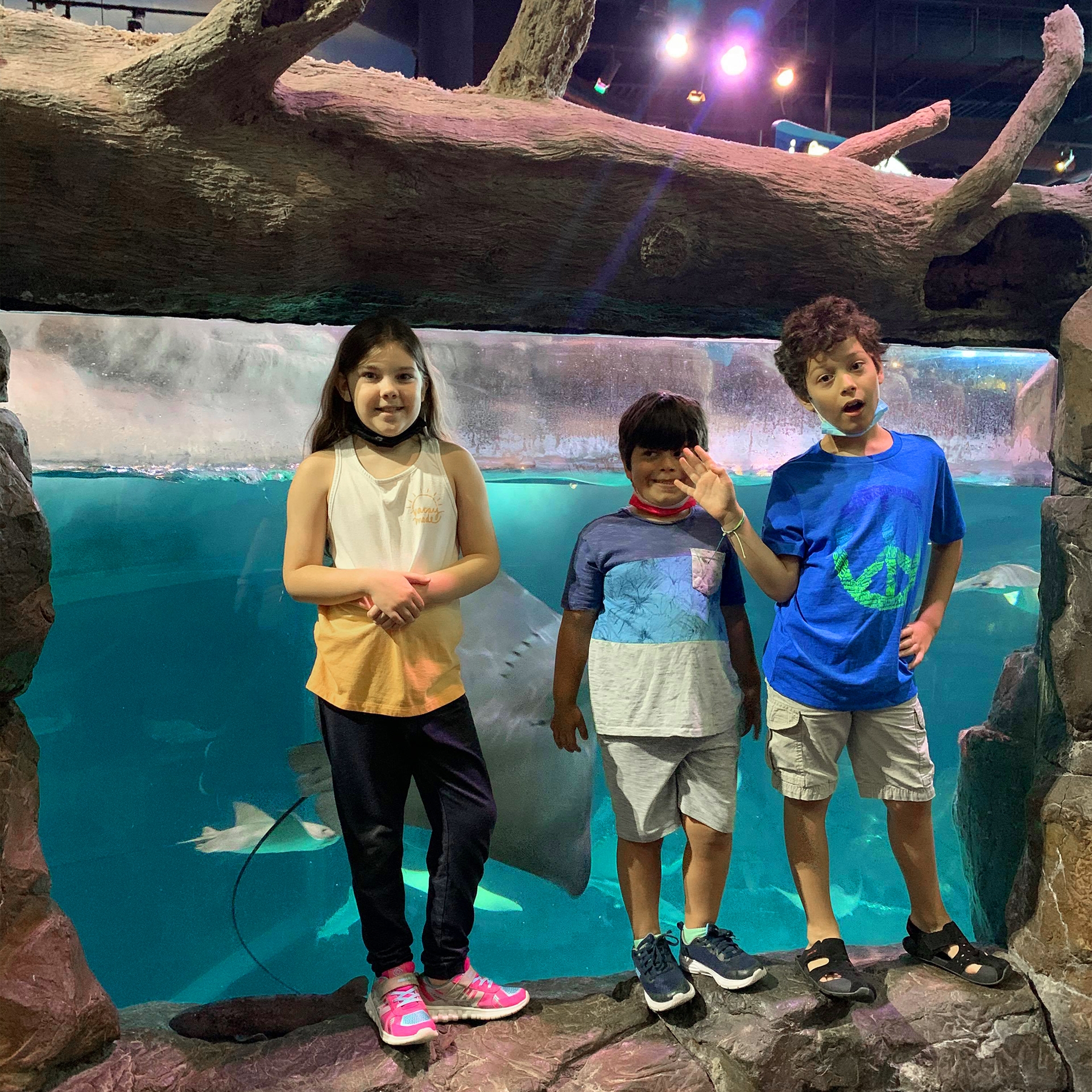 A young girls and two boys stand in front of a stingray enclosure.
