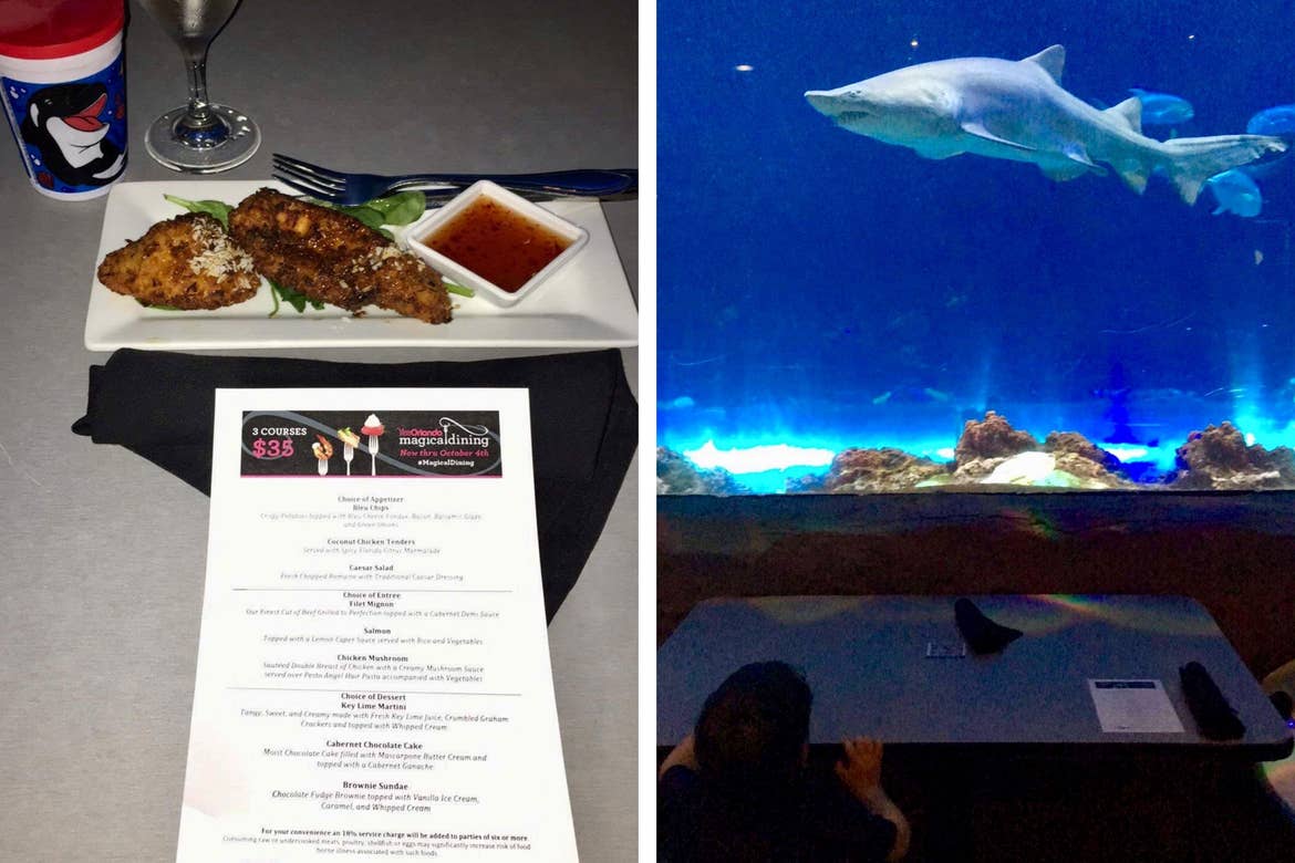 Left: An appetizer of coconut chicken tenders and dipping sauce sit above a menu. Right: Dakota is seated in front of an aquarium to view sharks while dining.